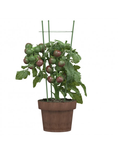 Supporti Piante da Giardino con 3 Anelli 5pz Verde 45cm Acciaio