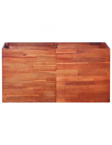 Letto Rialzato da Giardino in Legno di Acacia 100x50x50 cm