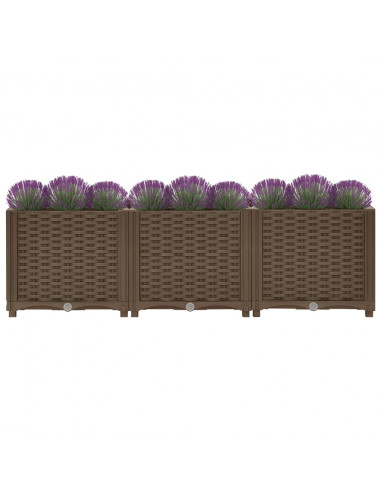 Fioriera Rialzata 120x40x38 cm in Polipropilene