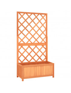 Fioriera con Traliccio Marrone 70x30x135cm in Massello di Abete 2