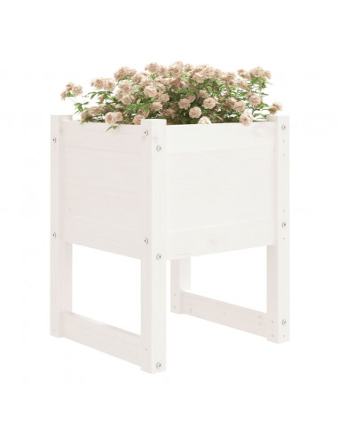 Fioriere 2 pz Bianche 40x40x52,5 cm in Legno Massello di Pino