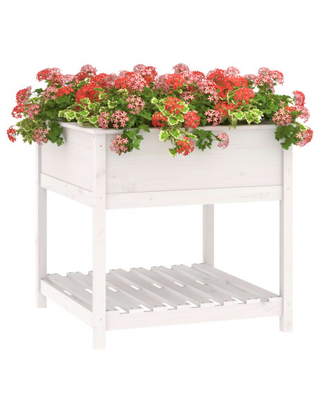 Fioriera con Mensola Bianca 82,5x82,5x81 cm Legno Massello Pino