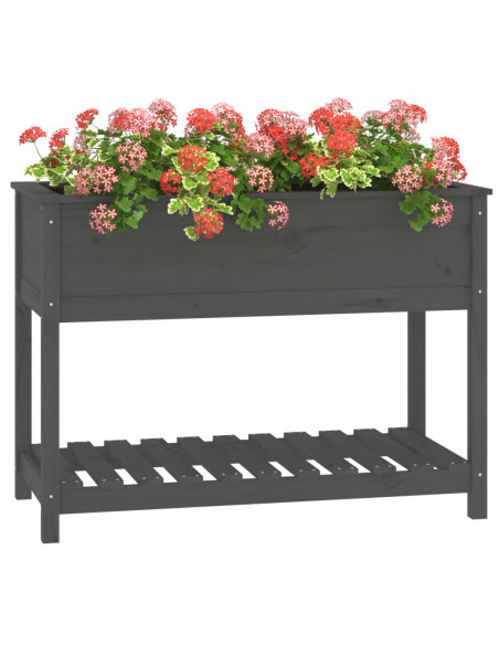 Fioriera con Mensola Grigia 111,5x54x81 cm Legno Massello Pino