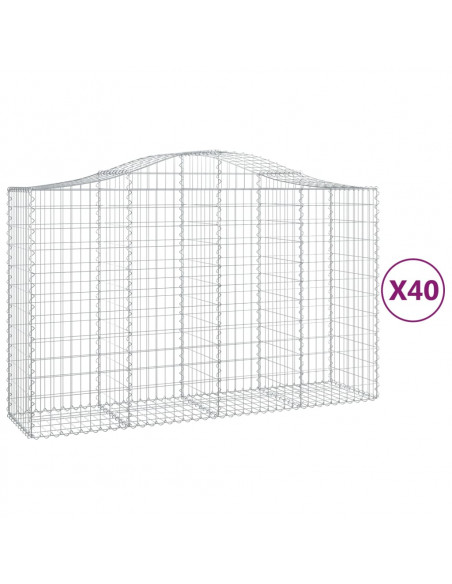 Cesti Gabbioni ad Arco 40 pz 200x50x120/140 cm Ferro Zincato