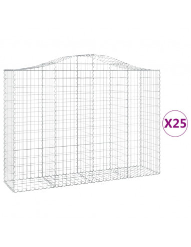 Cesti Gabbioni ad Arco 25 pz 200x50x140/160 cm Ferro Zincato