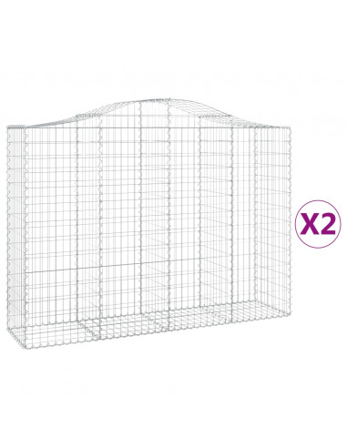 Cesti Gabbioni ad Arco 2 pz 200x50x140/160 cm Ferro Zincato
