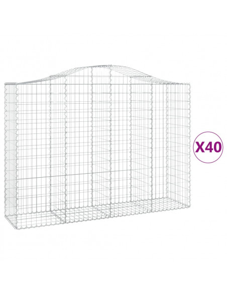 Cesti Gabbioni ad Arco 40 pz 200x50x140/160 cm Ferro Zincato
