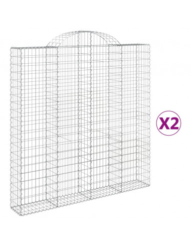 Cesti Gabbioni ad Arco 2 pz 200x30x200/220 cm Ferro Zincato