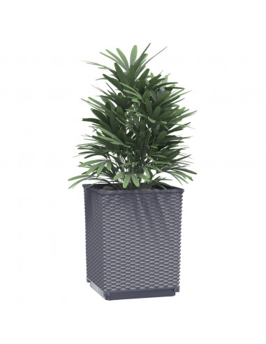 Fioriere 2 pz Grigio Scuro 30x30x37 cm in Polipropilene