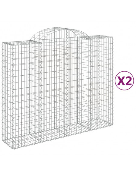 Cesti Gabbioni ad Arco 2 pz 200x50x160/180 cm Ferro Zincato