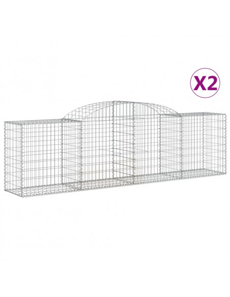 Cesti Gabbioni ad Arco 2 pz 300x50x80/100 cm Ferro Zincato
