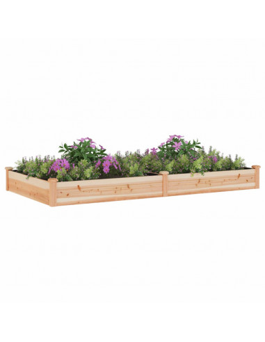 Fioriera Rialzata Giardino Fodera 240x120x25 cm Massello Abete