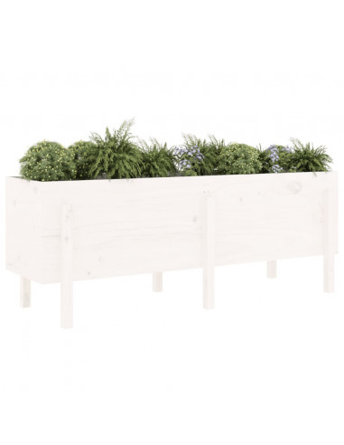 Fioriera Rialzata da Giardino Bianca 160x50x57 cm Massello Pino