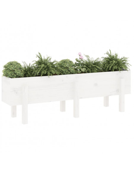 Fioriera Rialzata da Giardino Bianca 121x30x38 cm Massello Pino