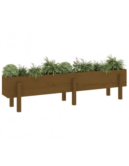 Fioriera Rialzata da Giardino Miele 160x30x38 cm Massello Pino
