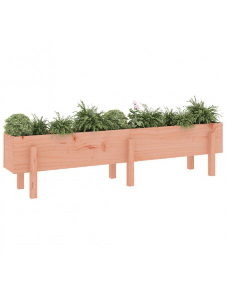 Fioriera Rialzata Giardino 160x30x38 cm Legno Massello Douglas