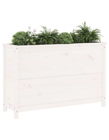 Fioriera Rialzata Giardino Bianca 119,5x40x78 cm Massello Pino