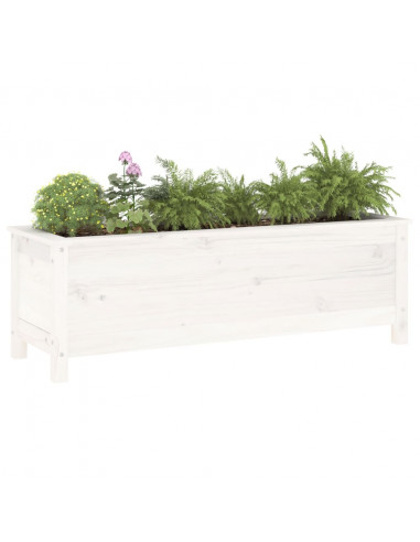 Fioriera Rialzata Giardino Bianca 119,5x40x39 cm Massello Pino
