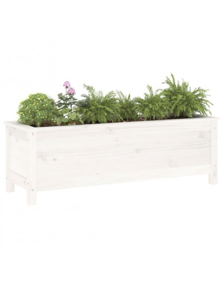 Fioriera Rialzata Giardino Bianca 119,5x40x39 cm Massello Pino