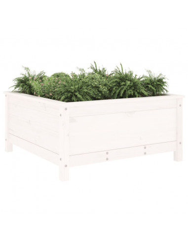 Fioriera da Giardino Bianca 82,5x82,5x39cm Legno Massello Pino
