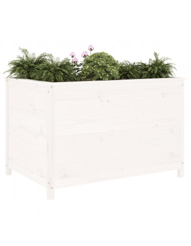 Fioriera Rialzata Giardino Bianca 119,5x82,5x78cm Massello Pino