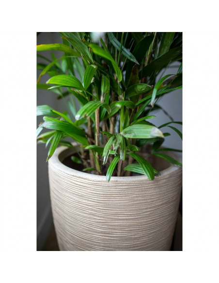 Capi Vaso Elegante Basso Waste Rib 46x58 cm Beige Terrazzo