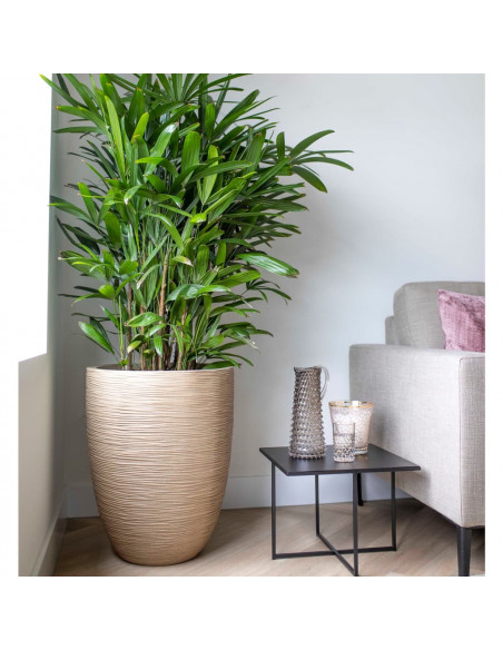 Capi Vaso Elegante Basso Waste Rib 46x58 cm Beige Terrazzo