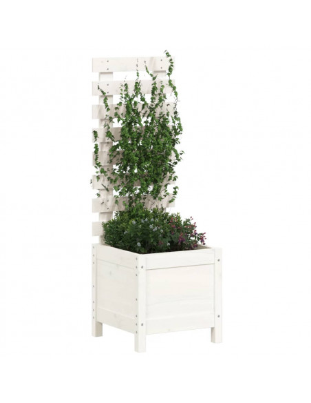 Fioriera Giardino con Rastrelliera Bianca 39x39,5x114cm Pino