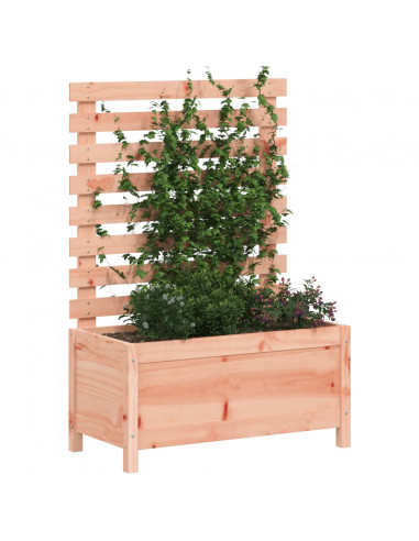 Fioriera Giardino con Rastrelliera 79x39,5x114cm Legno Douglas