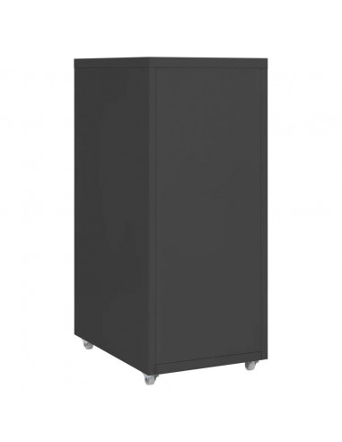 Schedario Mobile Antracite 28x41x69 cm in Metallo