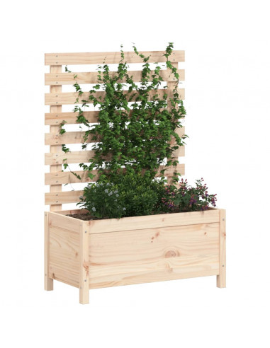 Fioriera Giardino con Rastrelliera 79x39,5x114cm Massello Pino