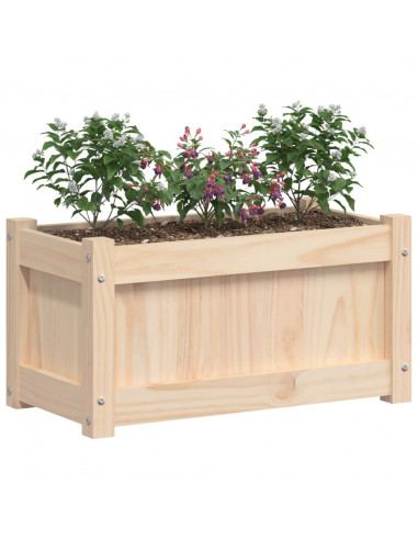 Fioriera da Giardino 60x31x31 cm in Legno Massello di Pino