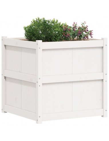 Fioriera da Giardino Bianca 70x70x70 cm Legno Massello di Pino