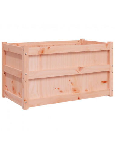 Fioriere da Giardino 2 pz in Legno Massello di Douglas