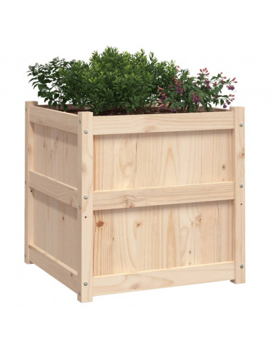 Fioriera da Giardino 60x60x60 cm in Legno Massello Di Pino