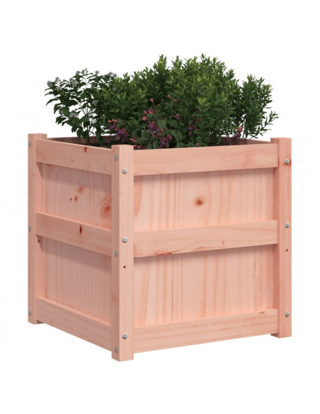 Fioriera da Giardino 50x50x50 cm in Legno Massello di Douglas