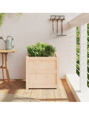 Fioriera da Giardino 50x50x50 cm in Legno Massello di Pino
