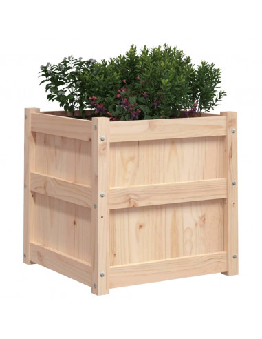 Fioriera da Giardino 50x50x50 cm in Legno Massello di Pino
