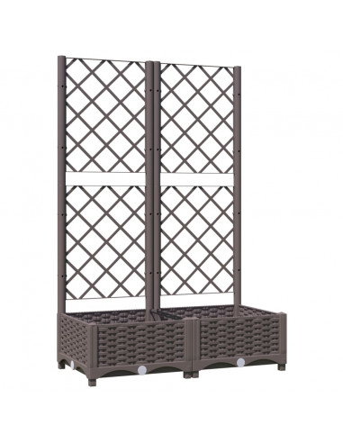Fioriera da Giardino con Graticcio Marrone 80x40x121,5 cm in PP