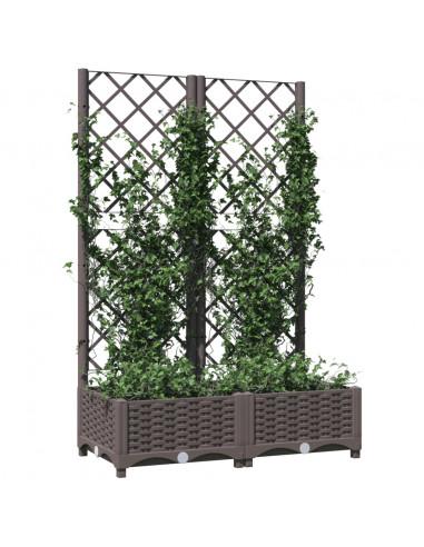 Fioriera da Giardino con Graticcio Marrone 80x40x121,5 cm in PP