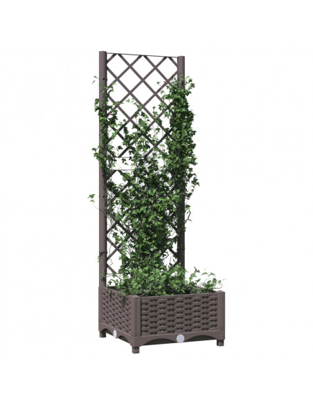 Fioriera da Giardino con Graticcio Marrone 40x40x121,5 cm in PP