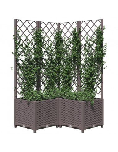 Fioriera da Giardino con Graticcio Marrone 80x80x136 cm in PP