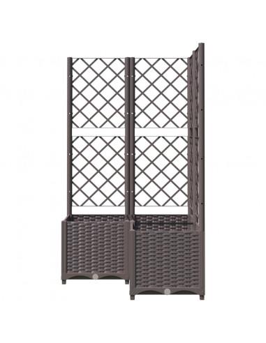 Fioriera da Giardino con Graticcio Marrone 80x80x136 cm in PP