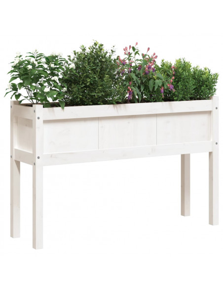 Fioriere da Giardino 2 pz con Gambe Bianche Legno Massello Pino