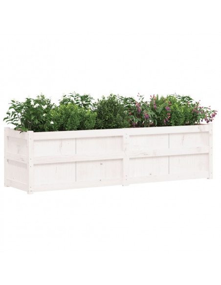 Fioriera da Giardino Bianca 180x50x50 cm Legno Massello di Pino