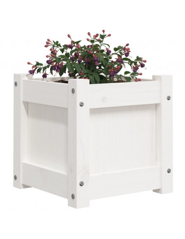 Fioriera da Giardino Bianca 31x31x31 cm Legno Massello di Pino