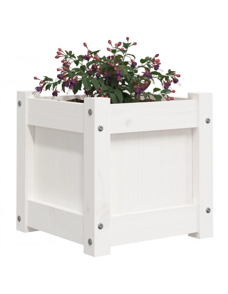 Fioriera da Giardino Bianca 31x31x31 cm Legno Massello di Pino