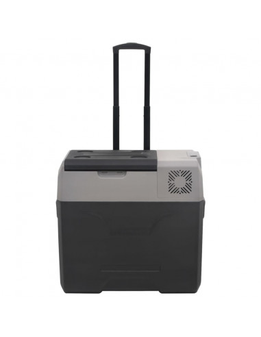 Borsa Frigo con Manico e Ruote Nera e Grigia 40 L Polipropilene