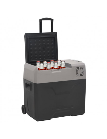 Borsa Frigo con Manico e Ruote Nera e Grigia 30 L Polipropilene
