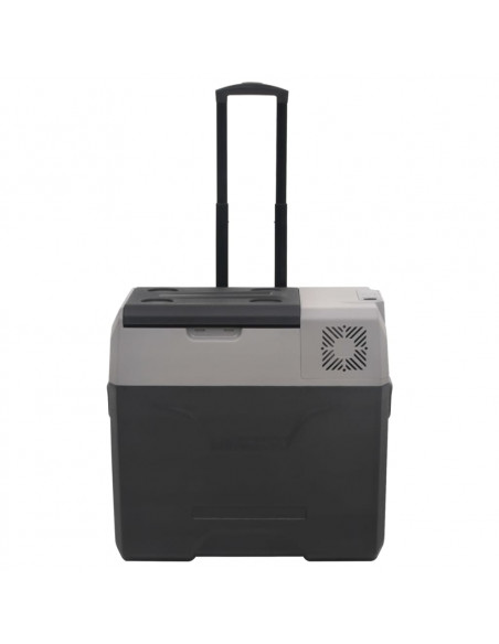 Borsa Frigo con Manico e Ruote Nera e Grigia 30 L Polipropilene